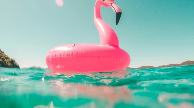 Find the Right Santa Rosa Airbnb